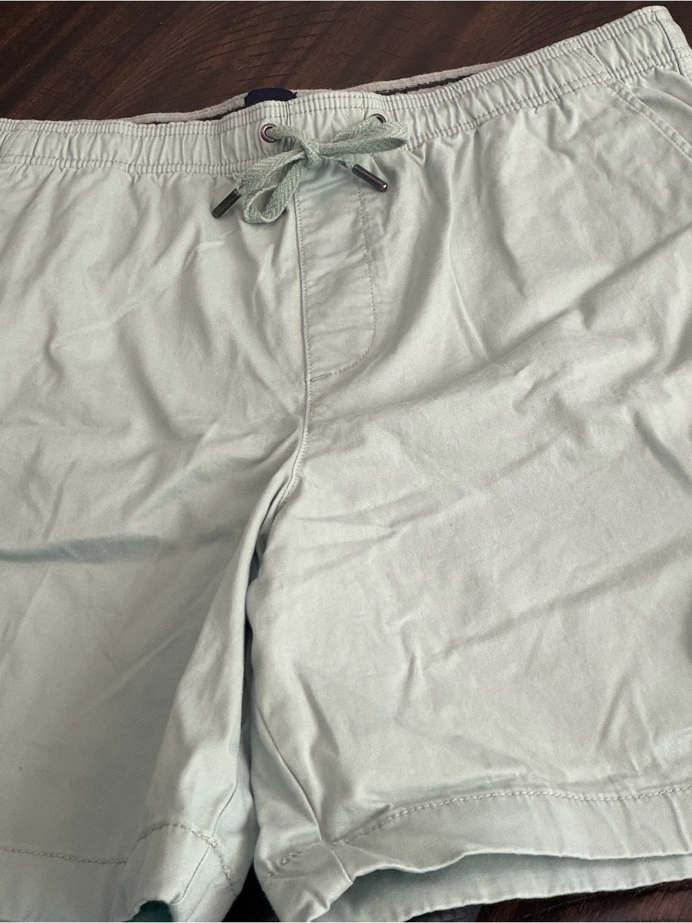 GAP Men's Mint Green Shorts